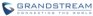 DECT Grandstream