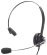 TM310 QD